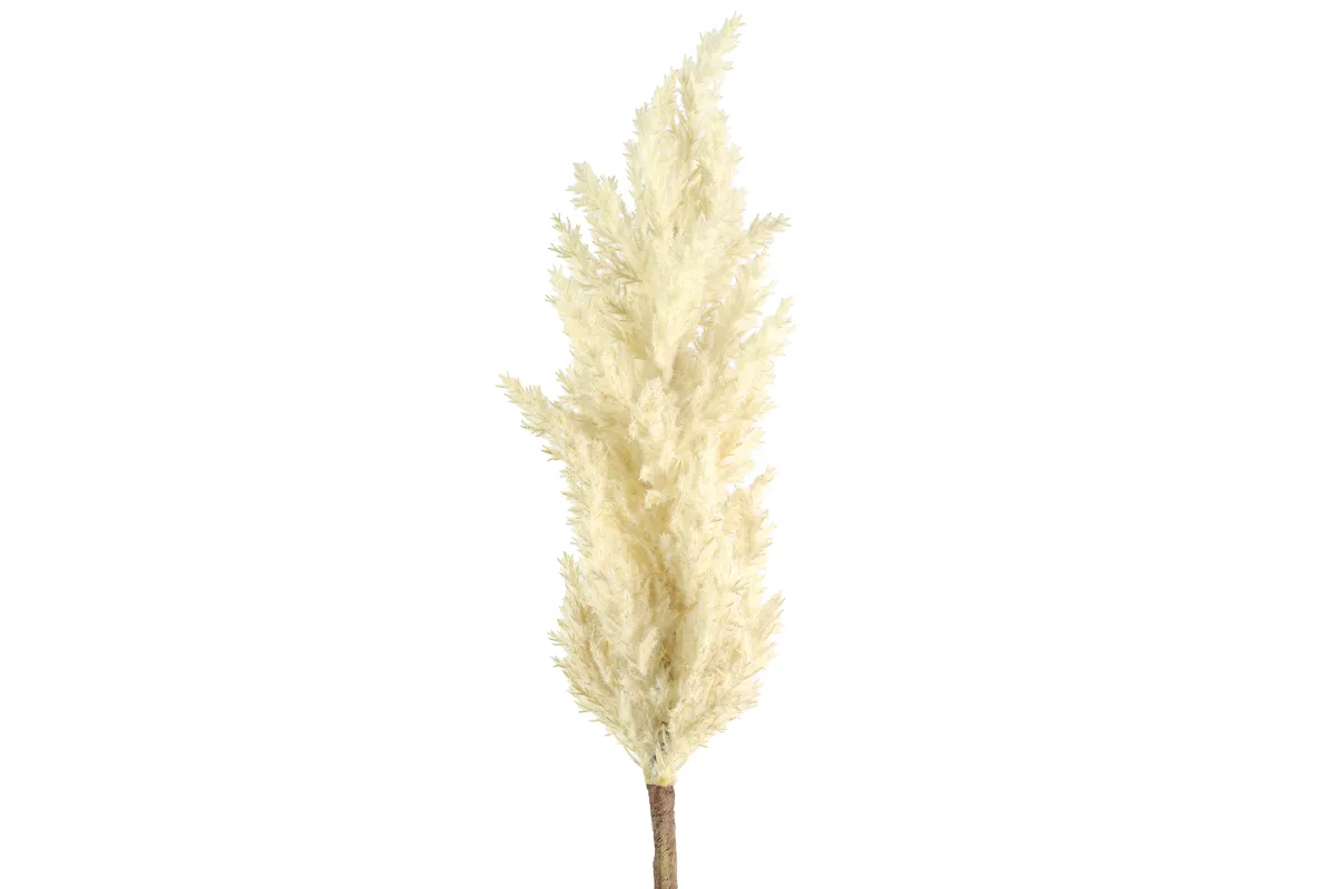Dekor. biljka Astilbe krem cvet tamno braon drška Countryfield