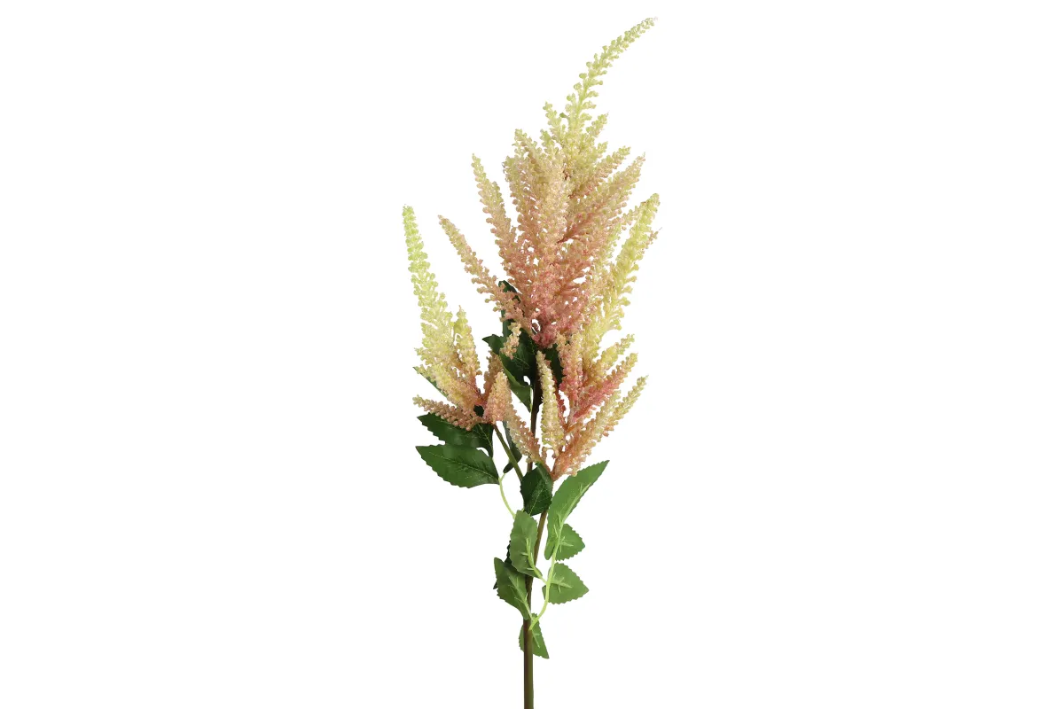 Dekor. biljka Astilbe roza sa zelenim listovima Countryfield