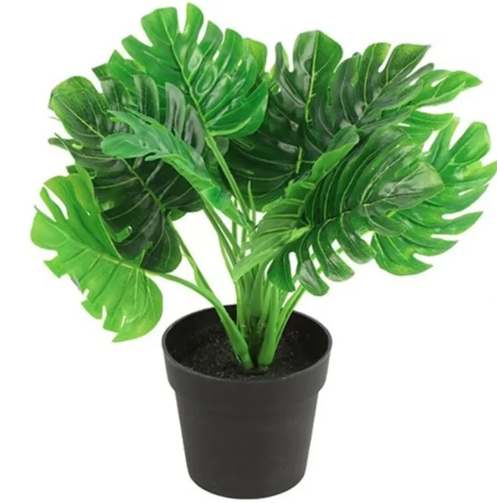 Dekor. biljka - Monstera u saksiji 15x15x28cm Countryfield