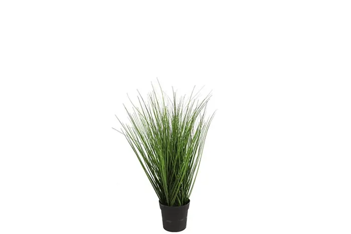 Dekor. biljka - Poaceae S u saksiji 15x40cm Countryfield