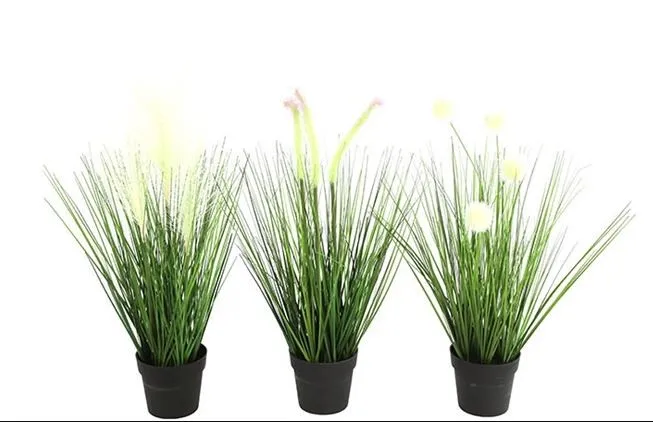 Dekor. biljka u saksiji Poaceae S 46cm sort DecoStar