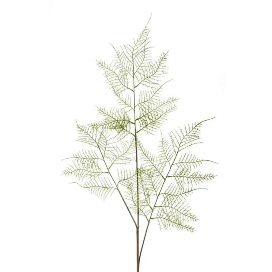 Dekor. cvet-paprat šparoge 80cm 3 grane Emerald