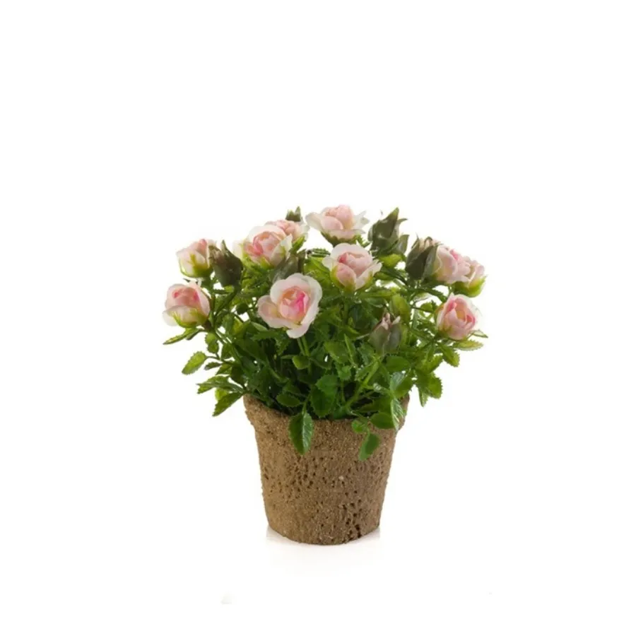 Dekor. cvet-patuljaste ruže 13cm u pap. saksiji sv. roze Emerald