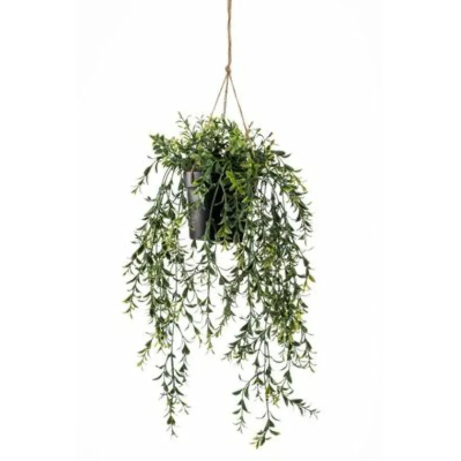 Dekor. viseći žbun šimšira u saksiji 50cm Emerald
