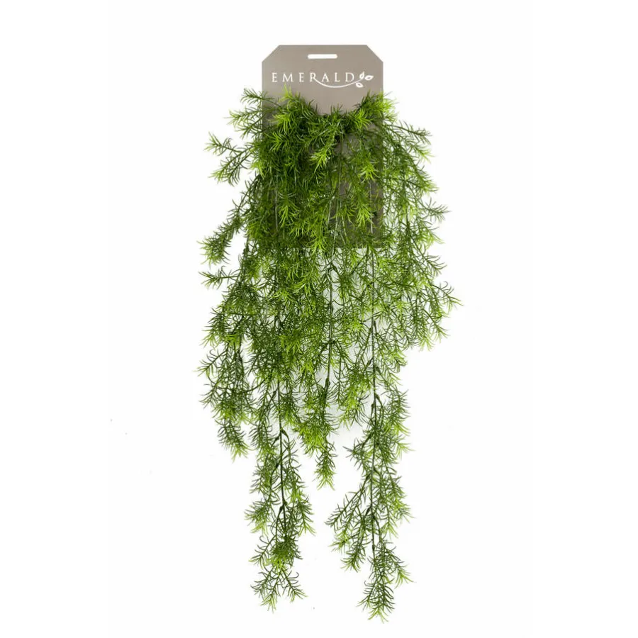 Dekorativna biljka Asparagus zeleni 75cm Emerald