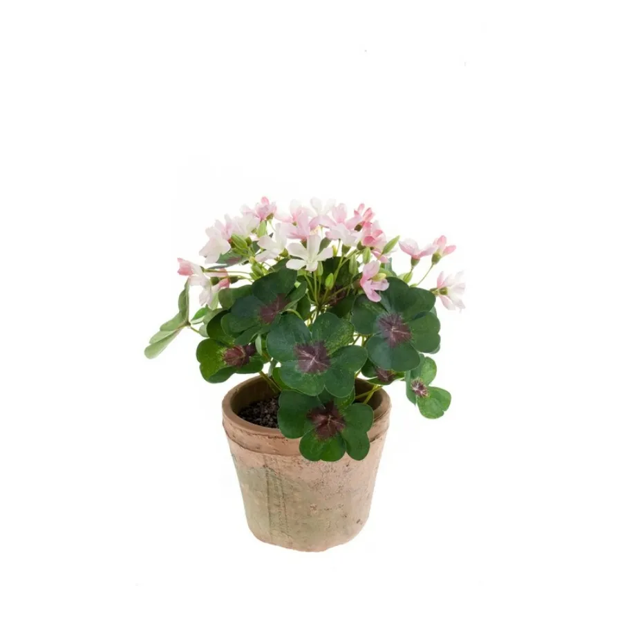 Dekorativna biljka detelina 22cm roza Emerald