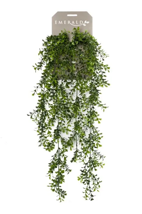 Dekorativna biljka šimšir zeleni 75cm Emerald