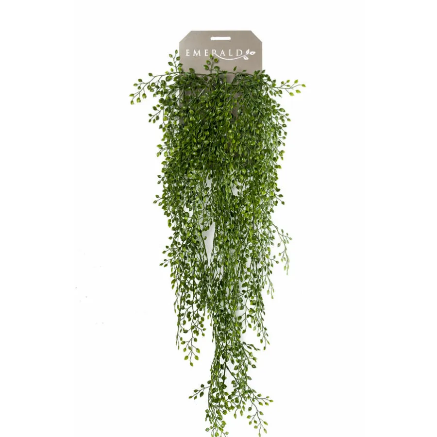 Dekorativna biljka jasmin zeleni 80cm Emerald