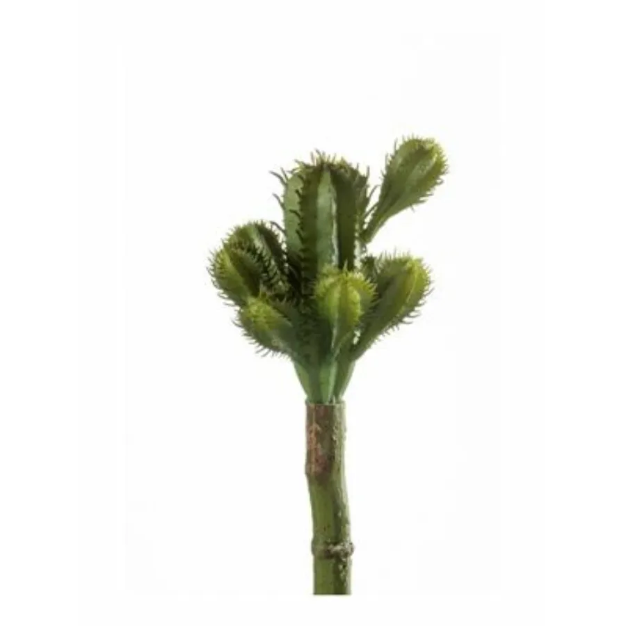 Dekorativna biljka kaktus 18cm zeleni Emerald