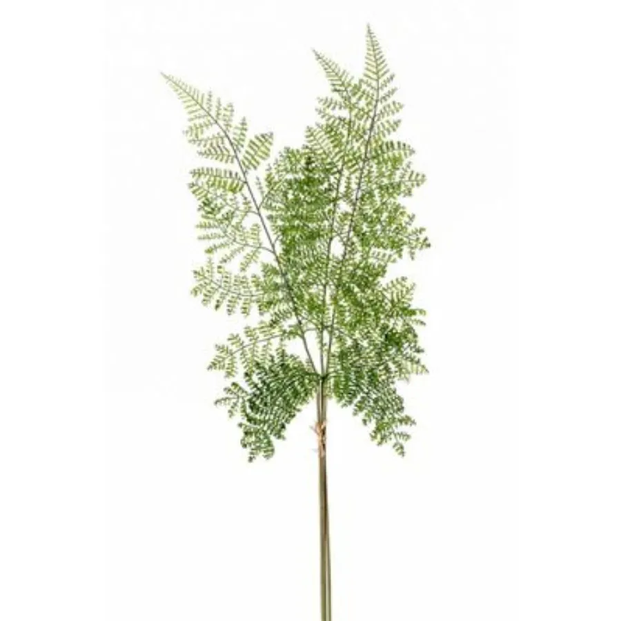 Dekorativna biljka paprat 58cm 3 grane zelena Emerald