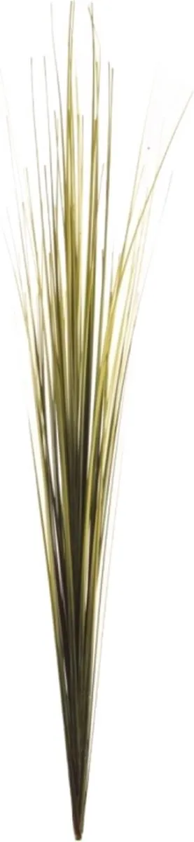 Dekorativna trava 90cm zelena Emerald