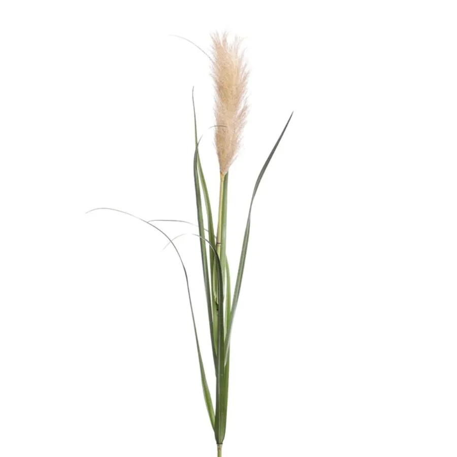 Dekorativna trava pampas 120cm braon Emerald