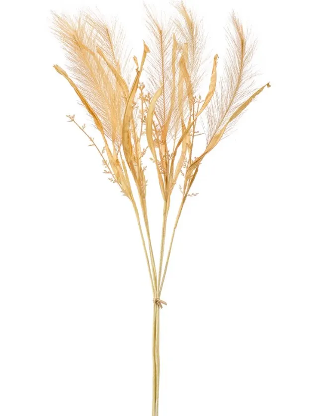 Dekorativna trava pampas 75cm 6 grana rozo-žuta Emerald