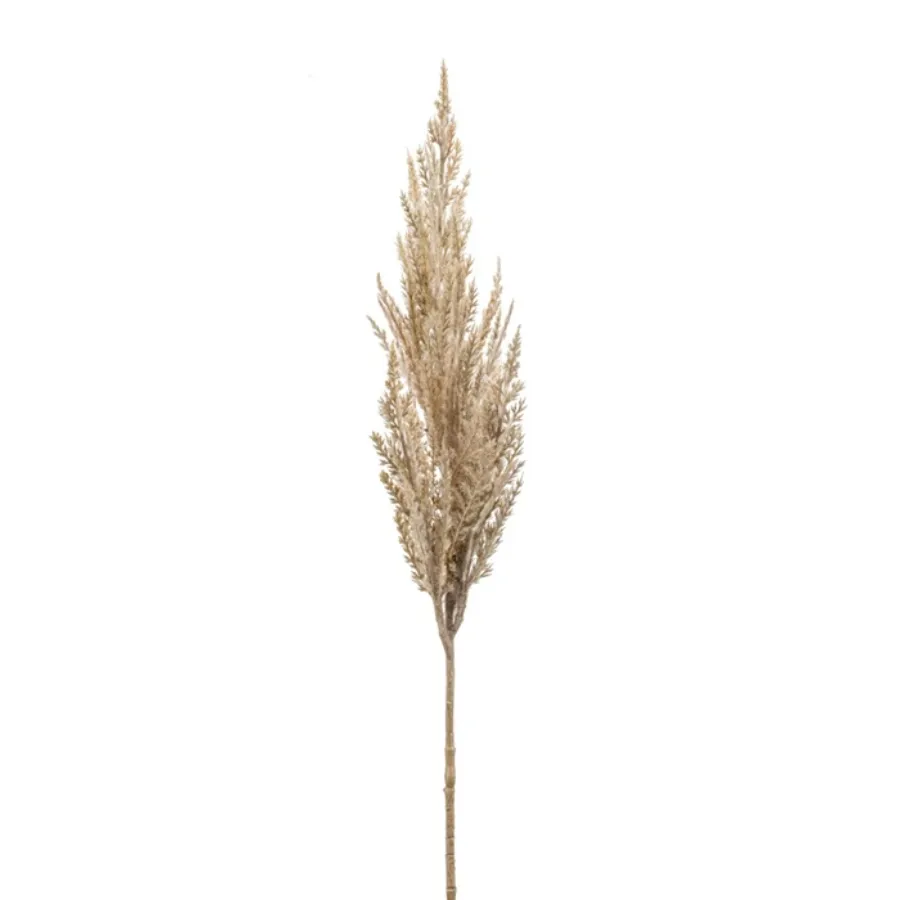 Dekorativna trava pampas 80cm bež Emerald