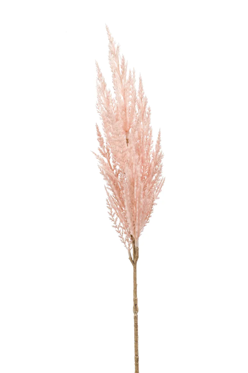 Dekorativna trava pampas 80cm svetlo roza Emerald