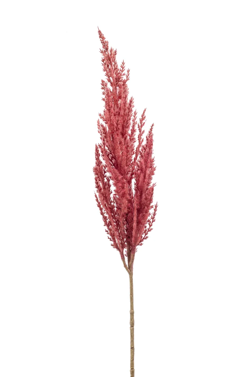 Dekorativna trava pampas 80cm tamno roza Emerald