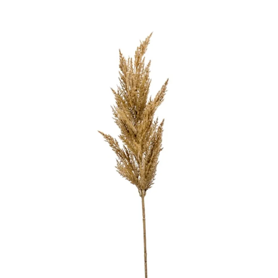 Dekorativna trava pampas 92cm zlatno žuta Emerald