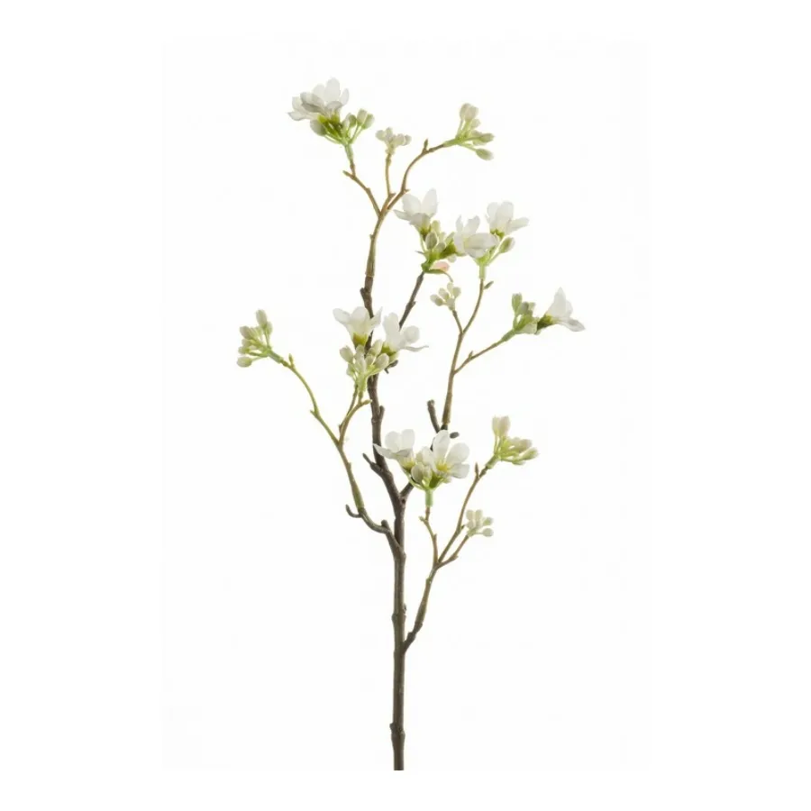 Dekorativni cvet-7 sinova heptakodijum 50cm beli Emerald