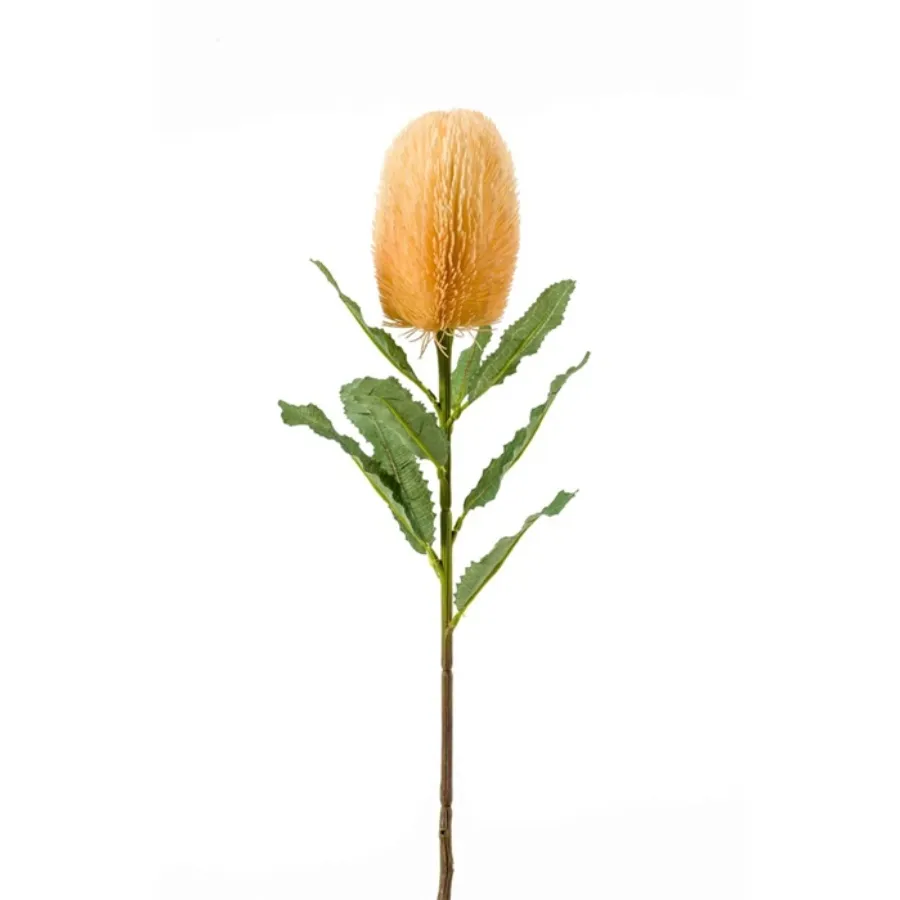 Dekorativni cvet-banksia 65cm narandžasti Emerald