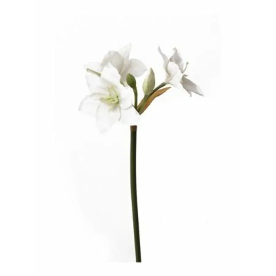 Dekorativni cvet-euharis 60cm beli Emerald