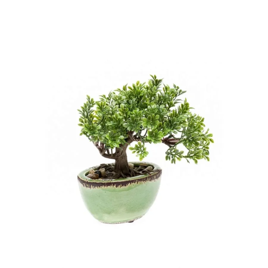 Dekorativni cvet-fikus mini bonsai 19cm u saksiji zeleni Emerald