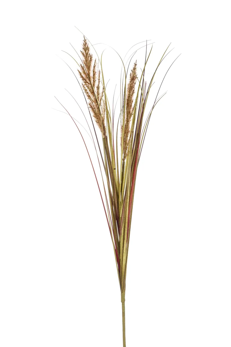 Dekorativni cvet-žitna trava 78cm 2 grane braon Emerald