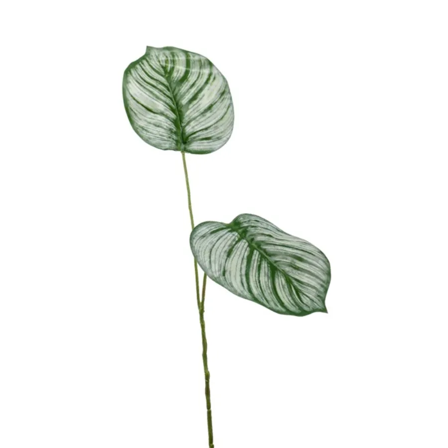 Dekorativni cvet-kalatea 50cm 2 grane Emerald