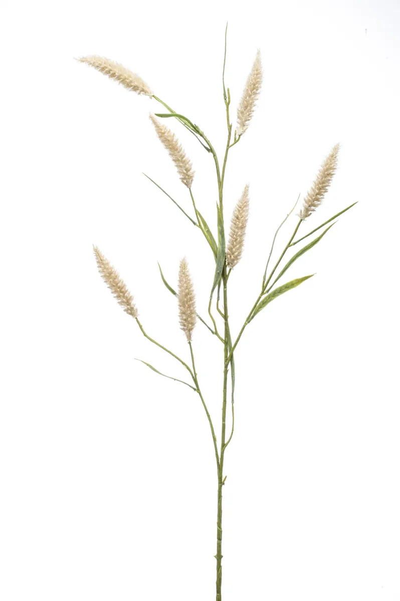Dekorativni cvet-lisičiji rep 90cm krem boja Emerald