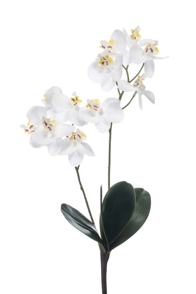 Dekorativni cvet-orhideja 36cm 2 grane bela Emerald
