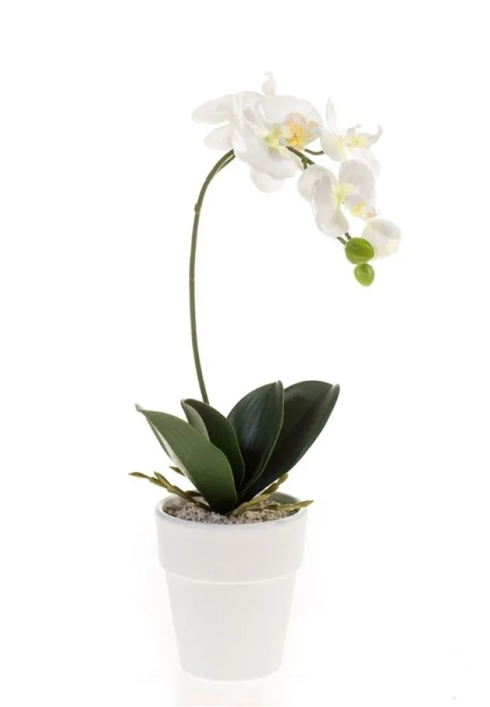 Dekorativni cvet-orhideja 40cm u saksiji beli Emerald