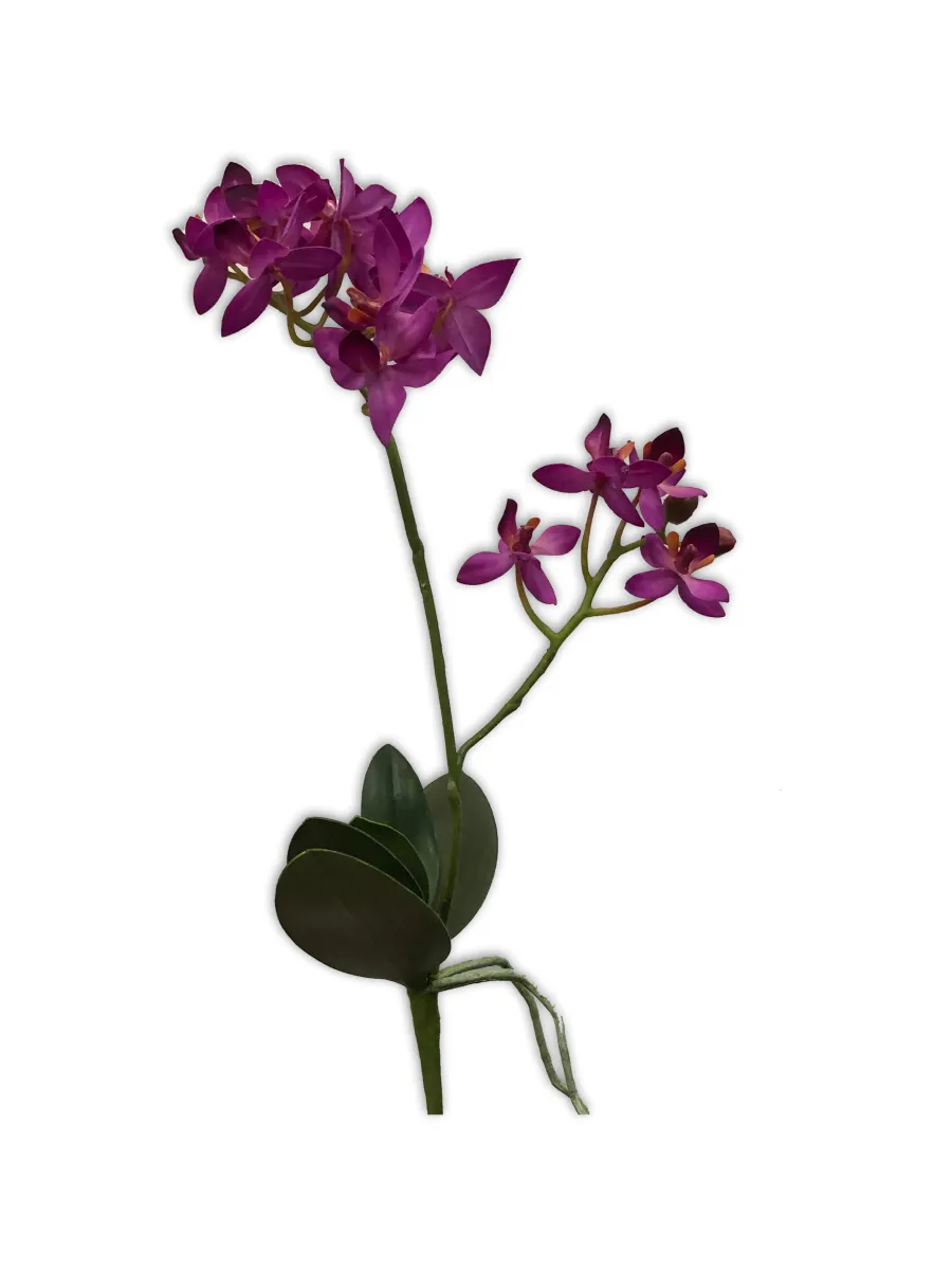 Dekorativni cvet-orhideja Phalaenopsis 30cm fuchsia Emerald