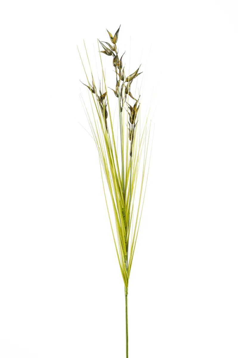 Dekorativni cvet-ovas 74cm 4 grane zeleni Emerald
