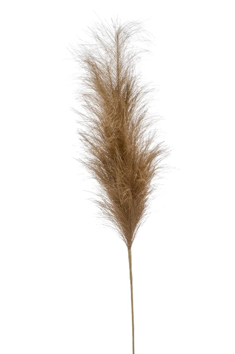Dekorativni cvet-pampas 115cm bež/braon Emerald