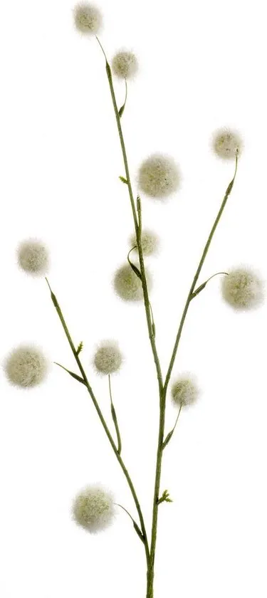 Dekorativni cvet-pom pom 80cm beli Emerald