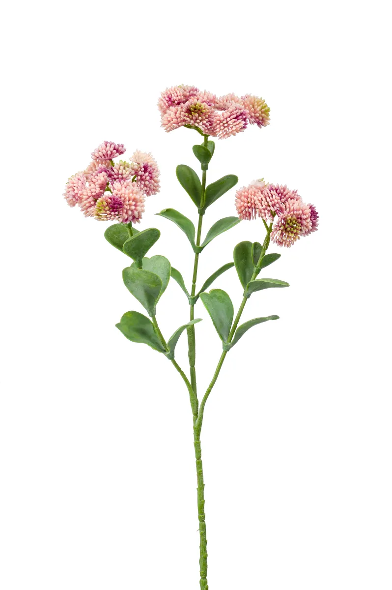 Dekorativni cvet-sedum 56cm 3 grane rozi Emerald