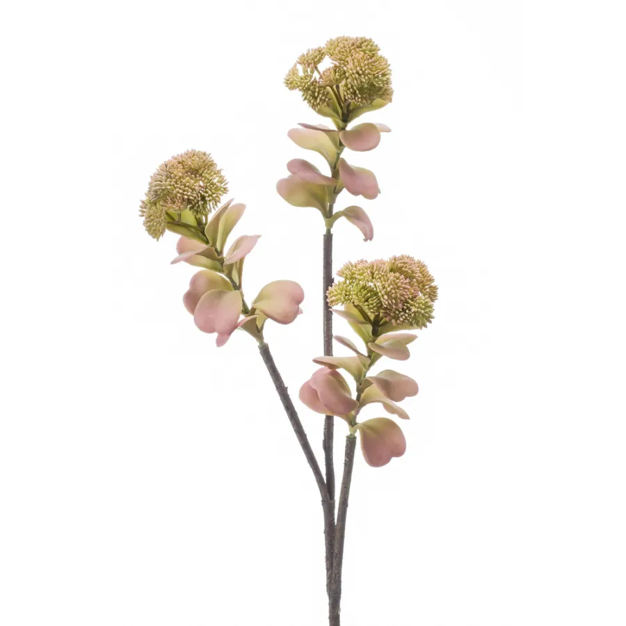 Dekorativni cvet-sedum 66cm 3 grane svetlo rozi Emerald