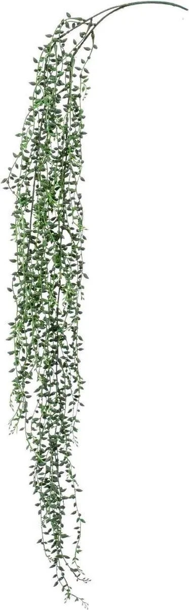 Dekorativni cvet-senecio viseći 95cm 2. grane zeleni Emerald