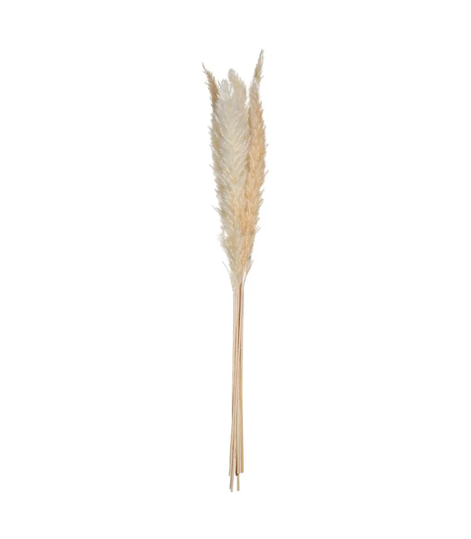 Dekorativni cvijet-pampas 6 grana Atmosphera Createur Dinterieur