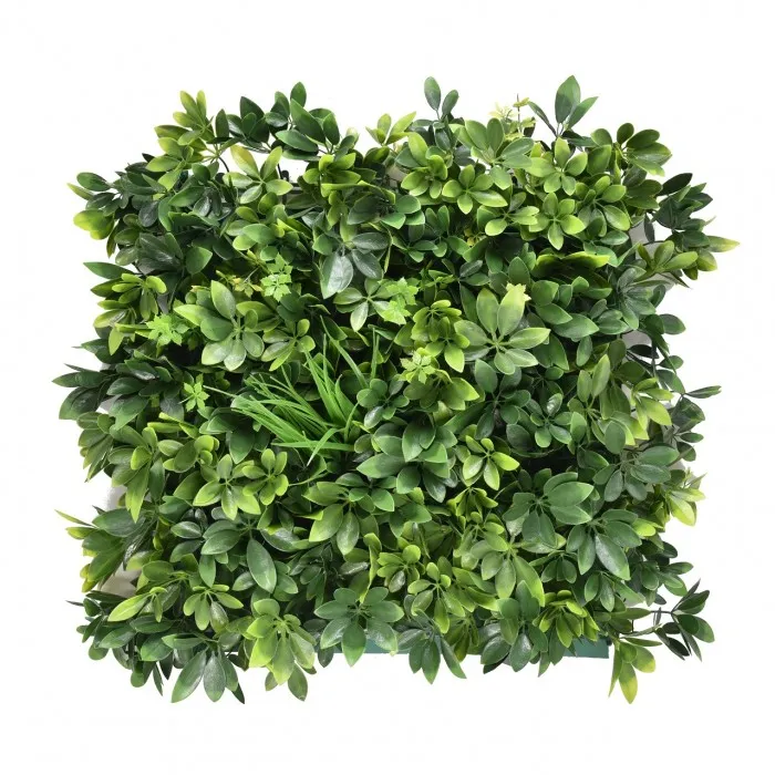 Dekorativno zelenilo-Szeflera 50x50cm za zidove pvc Mirpol
