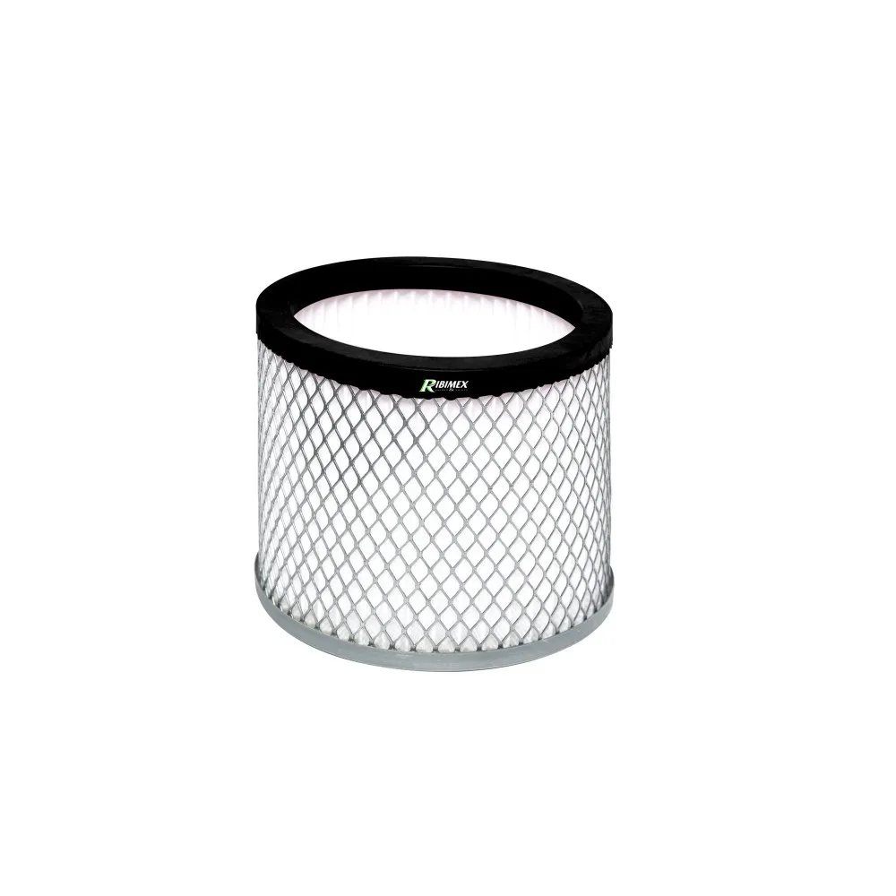 Filter HEPA za usisivač za pepeo Ribimex