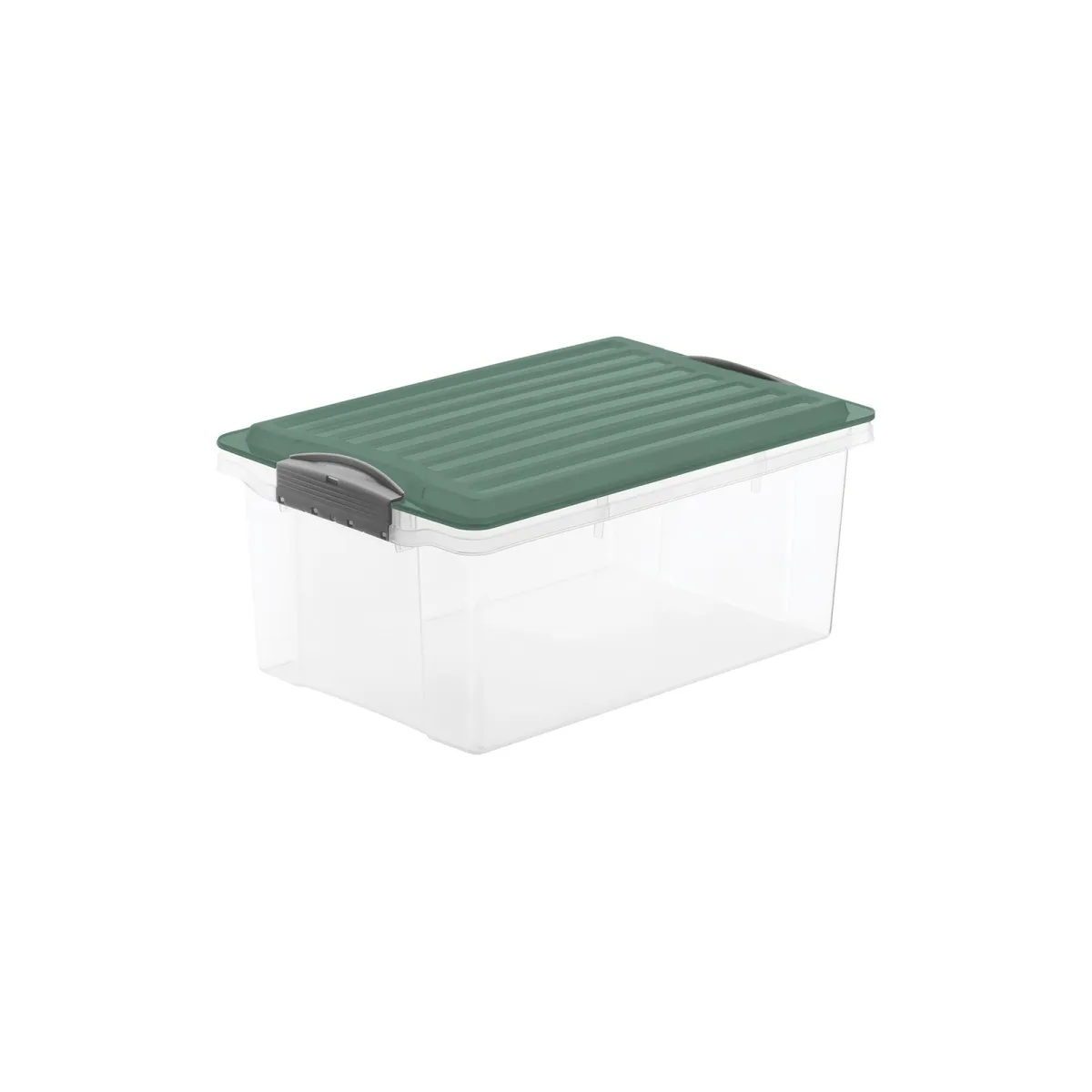 Kutija za odlag. stvari Compact 13l transp. sa zelenim poklop. Rotho