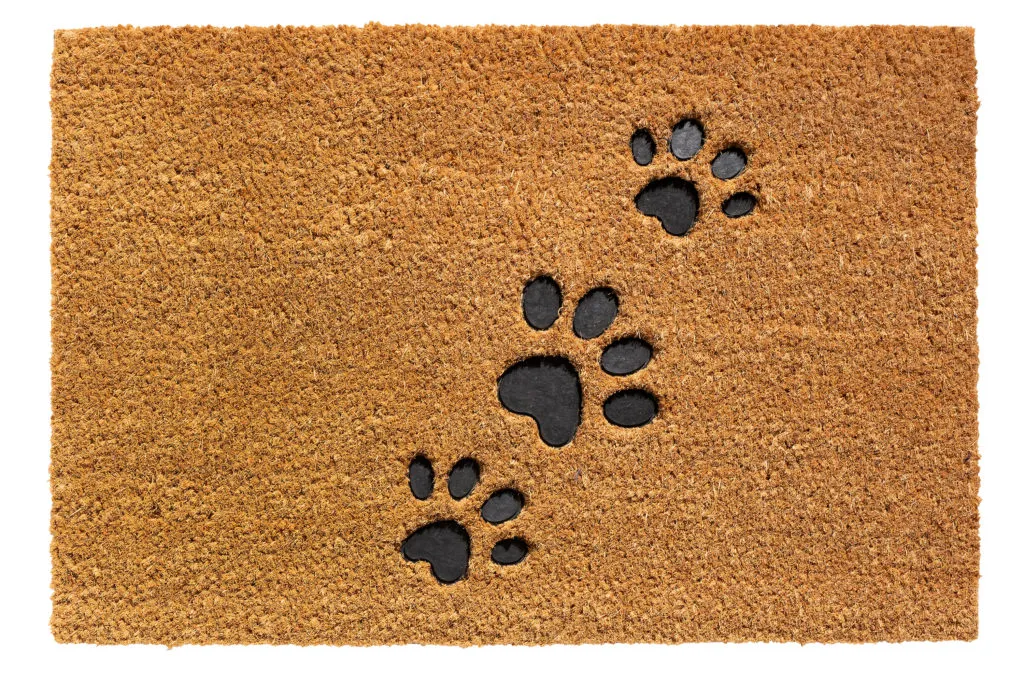 Otirač za noge RUCO EMBOSSED RUBBER Paws 40x60cm Hamat