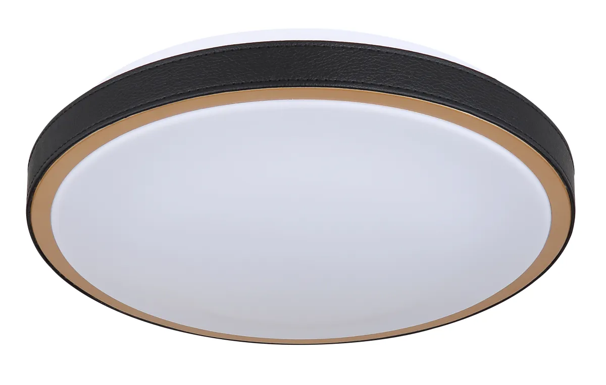 Plafonjerka Sammi LED 12W fi 30cm crna/mesing Globo