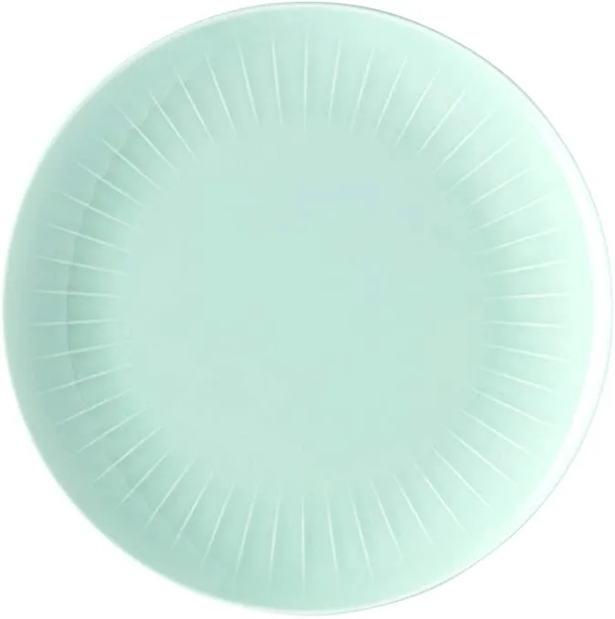 Plitki tanjir Joyn fi 24cm mint Arzberg