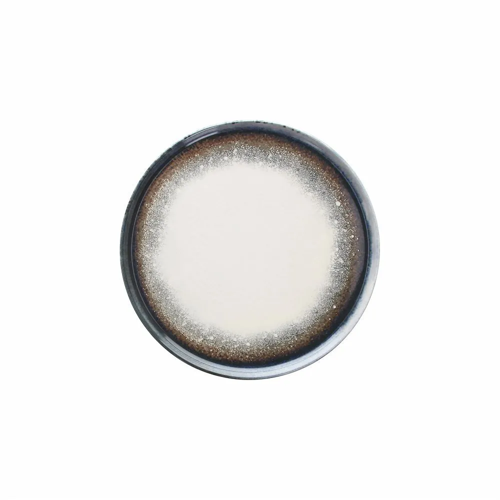 Plitki tanjir White Lagoon 28cm Tognana