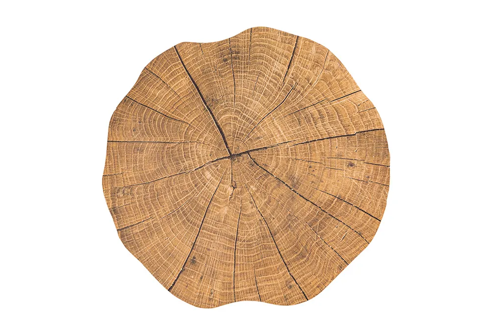 Podmetač za sto Togo Tree Trunk fi 38cm boja drveta ZicZac