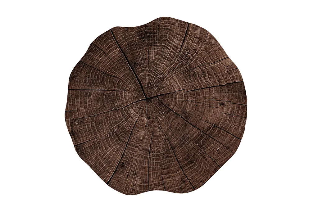 Podmetač za sto Togo Tree Trunk fi 38cm braon ZicZac