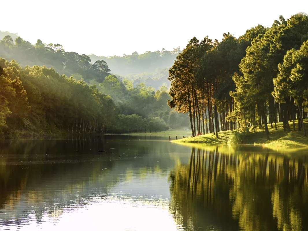 Print slika Canvas ST663 Calm Lake 60x80cm Styler