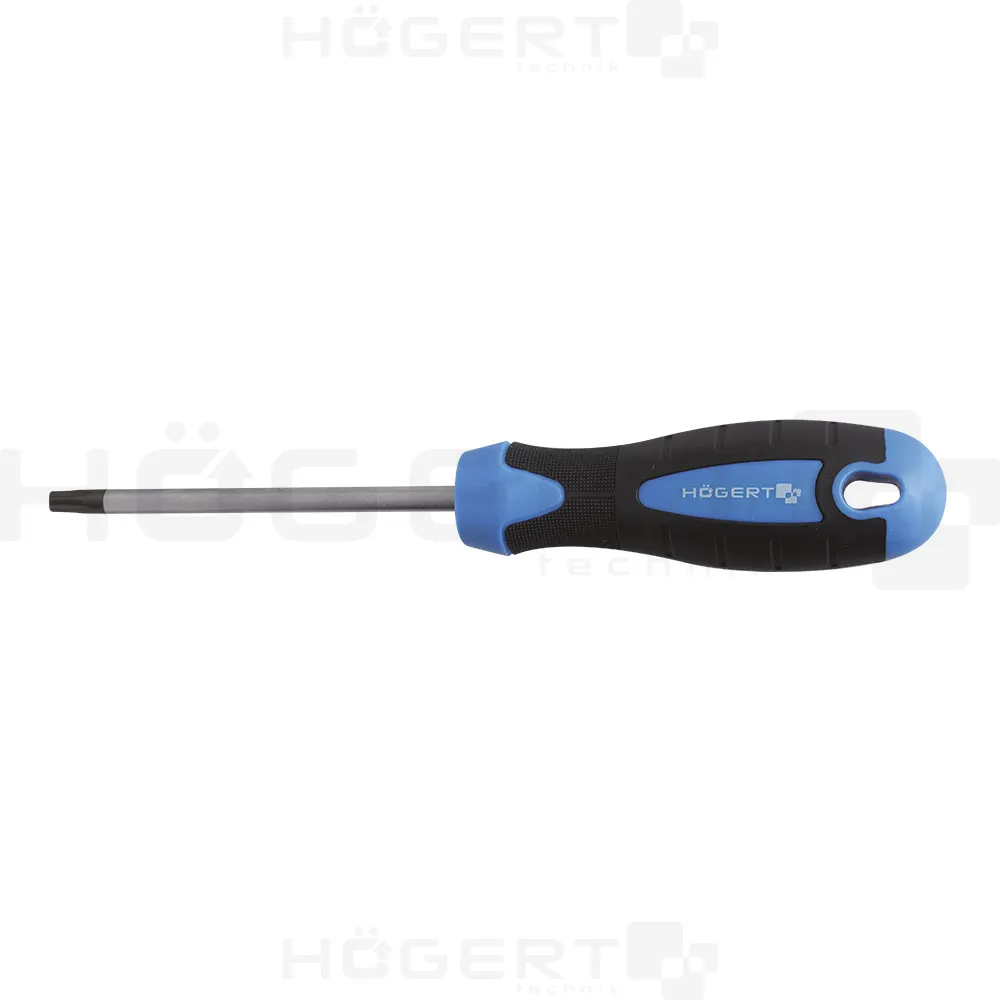 Šrafciger torks S2 T10x100mm Hoegert