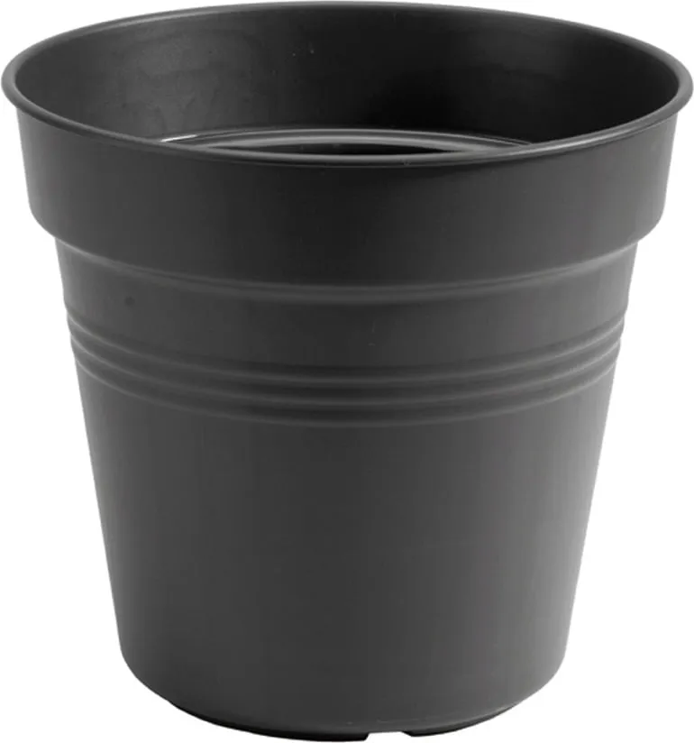 Saksija Green Basic fi 11x10.2cm crna Elho